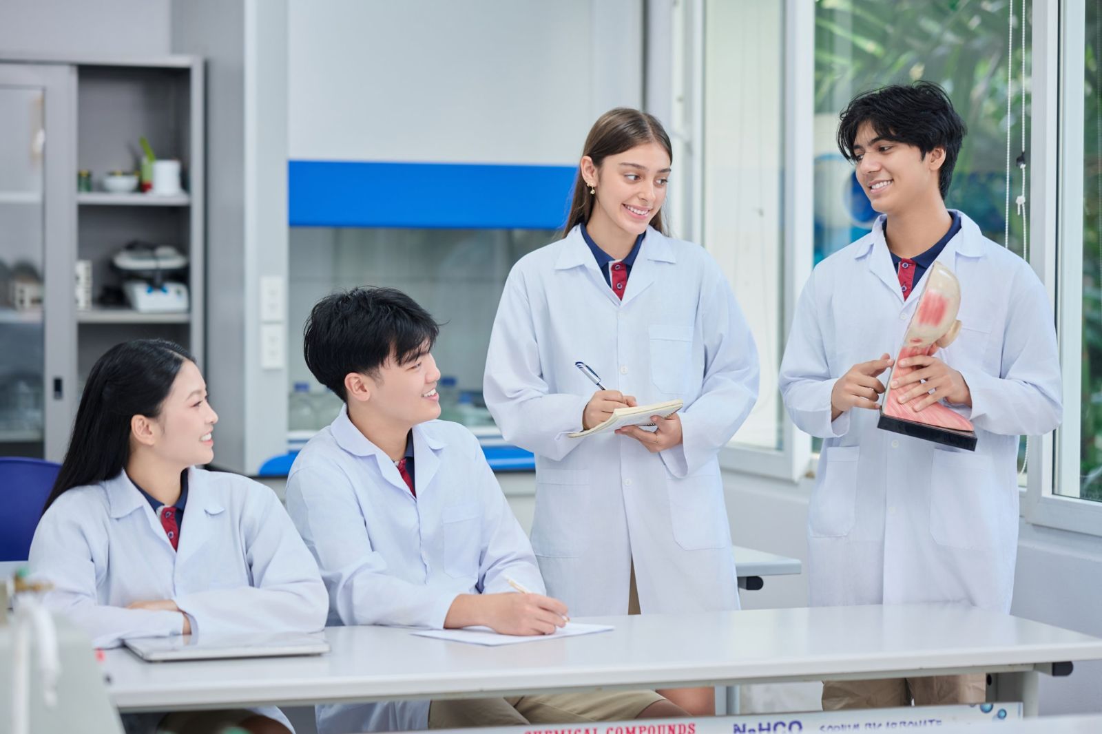 Four students in lab coats discussing an anatomy model